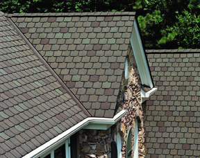 We offer many types of roofing options